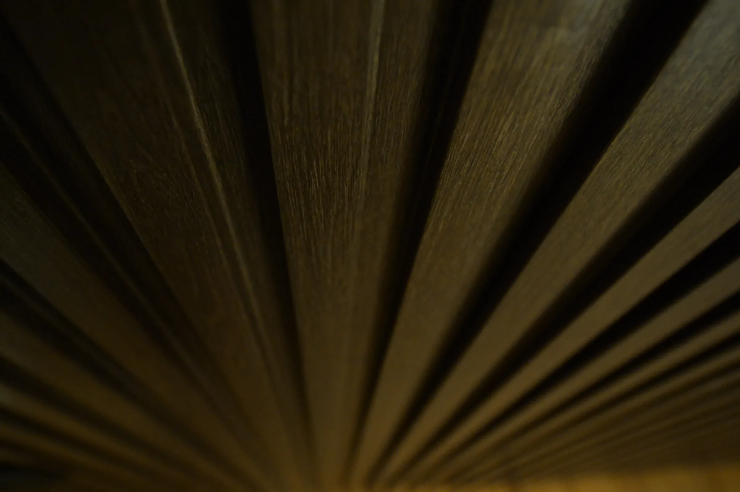 A close view of the grain and ribbed surface.