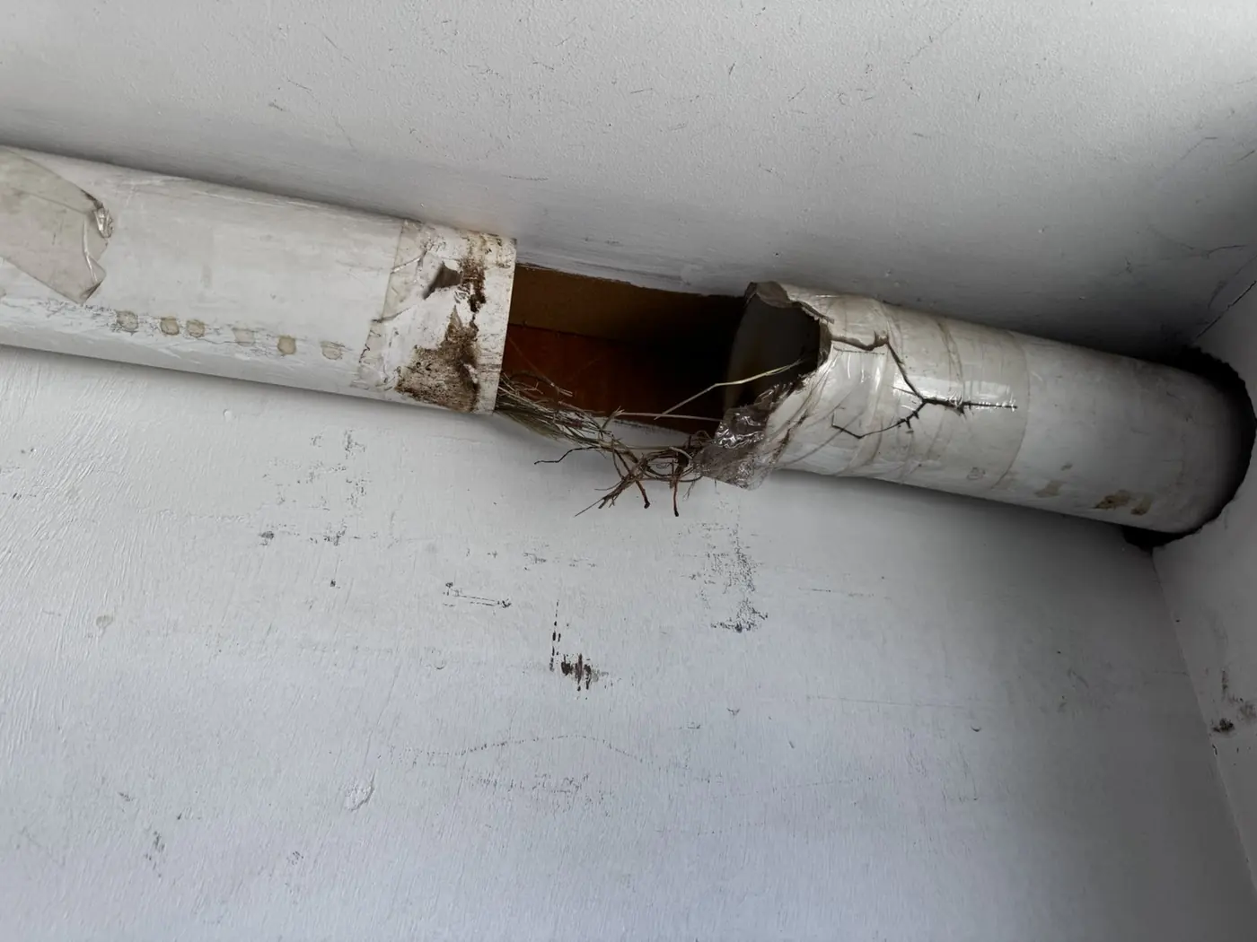 Bird nest inside a damaged ventilation duct during a Renovator house renovation in Chalandri